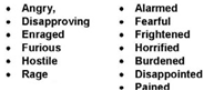 Anger Management Model Exihibit V